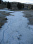 river of white.JPG